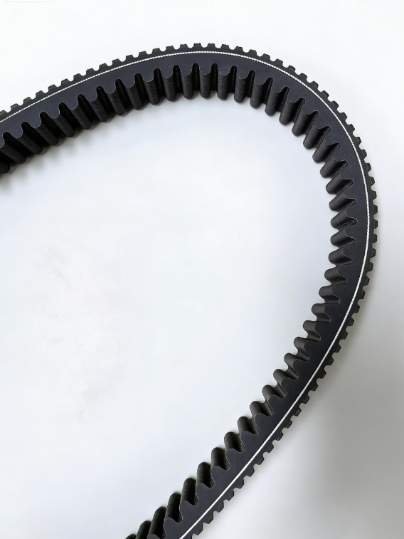 Raw Edge Cogged V-Belt