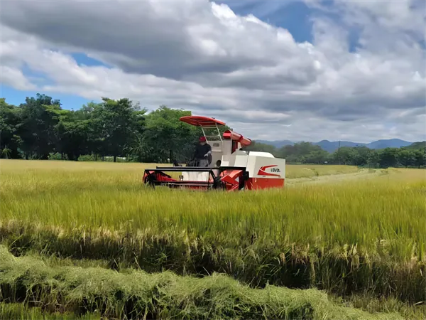 HEIYI agricultural harvester belt in rice field operation