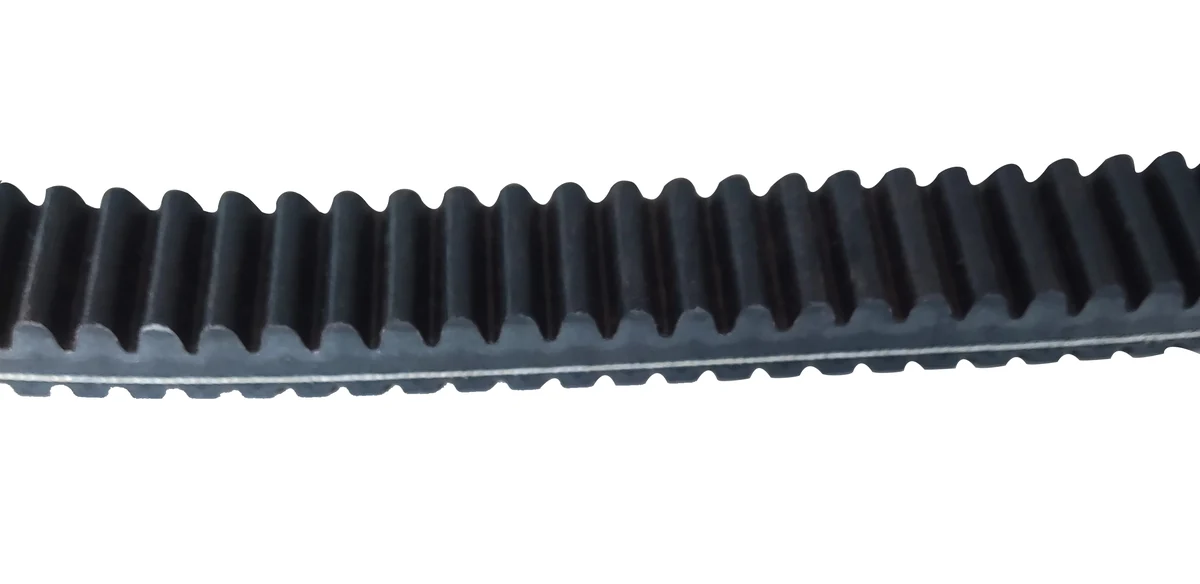 Aramid cord layer inside the belt cross-section